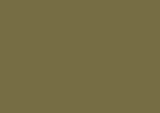 1081/1 Фасадное полотно на основе ДСП 3000х1215х18 Khaki (глянец) (1081/1 Ф)